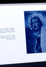 Agrandir l'image - fenêtre modale