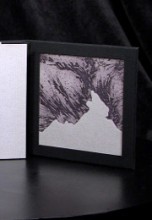 Agrandir l'image - fenêtre modale