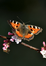 Illustration de la sélection thématique