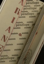 Agrandir l'image - fenêtre modale