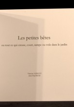 Agrandir l'image - fenêtre modale