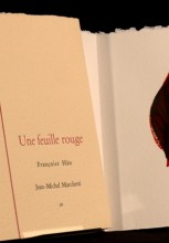 Une feuille rouge