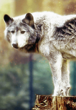 Illustration de la sélection thématique