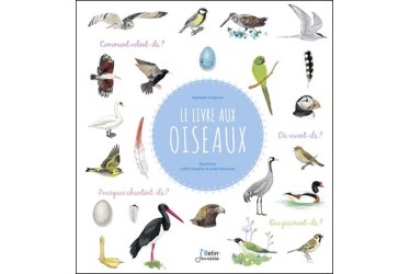 Lien vers le catalogue de la Bfm