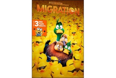 Lien vers le catalogue de la Bfm