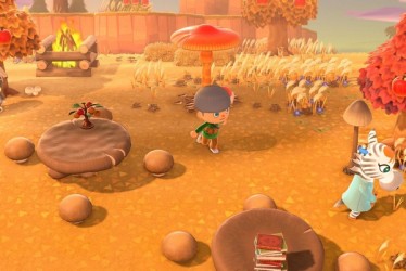 Lien vers une vidéo du jeu
