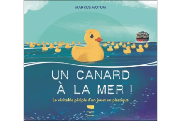 Lien vers le catalogue de la Bfm