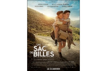 Lien vers le catalogue de la Bfm