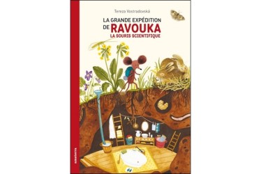 Lien vers le catalogue de la Bfm