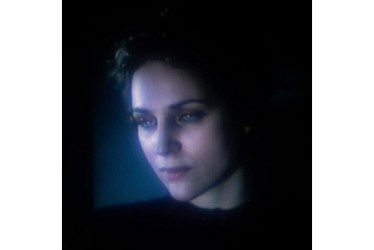 Lien vers le catalogue de la Bfm