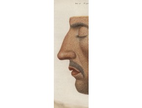 Agrandir l'image - fenêtre modale