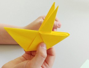 Agrandir l'image - fenêtre modale