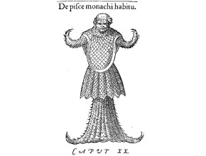 Agrandir l'image - fenêtre modale