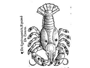 Agrandir l'image - fenêtre modale