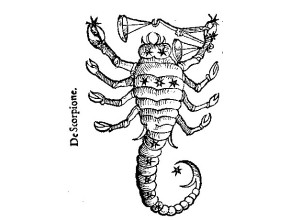 Agrandir l'image - fenêtre modale