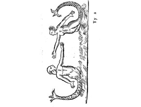 Agrandir l'image - fenêtre modale