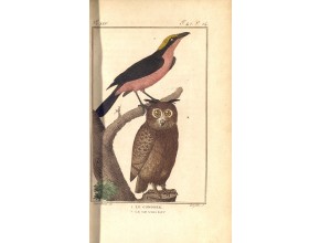 Agrandir l'image - fenêtre modale