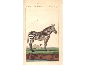 Agrandir l'image - fenêtre modale