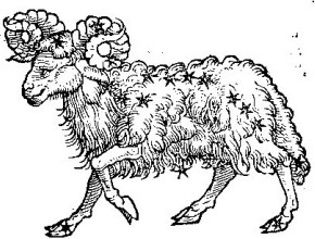 Agrandir l'image - fenêtre modale