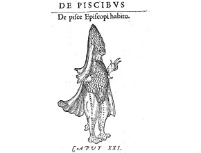 Agrandir l'image - fenêtre modale