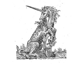 Agrandir l'image - fenêtre modale