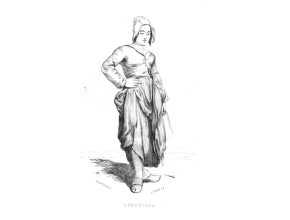 Agrandir l'image - fenêtre modale