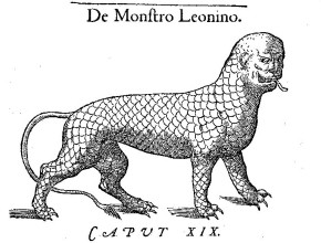 Agrandir l'image - fenêtre modale