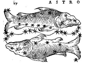 Agrandir l'image - fenêtre modale