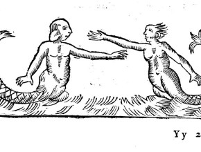 Agrandir l'image - fenêtre modale
