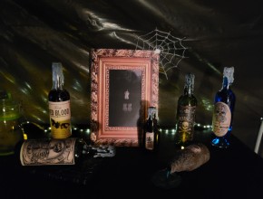 Agrandir l'image - fenêtre modale