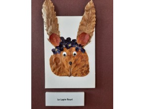 Agrandir l'image - fenêtre modale